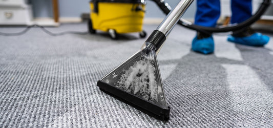 Carpet Steam Cleaning